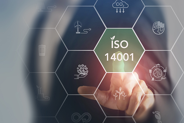 ISO 14001 EMS, CQI-IRCA